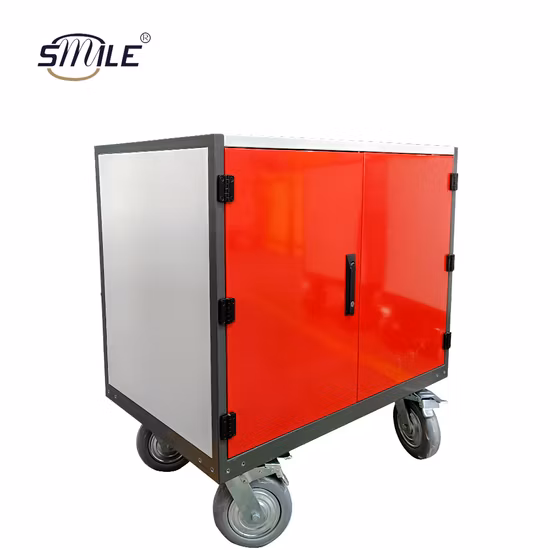 Smile Custom Factory School Garage Sheet Metal Tool Cabinet